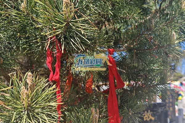 龙凤墓园 龙凤墓园