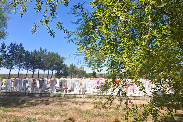 沈阳公墓在小年期间提供哪些特别服务? 沈阳公墓在小年期间提供哪些特别服务?